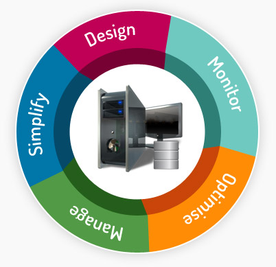 Database Management Process