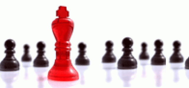 Application Software Development